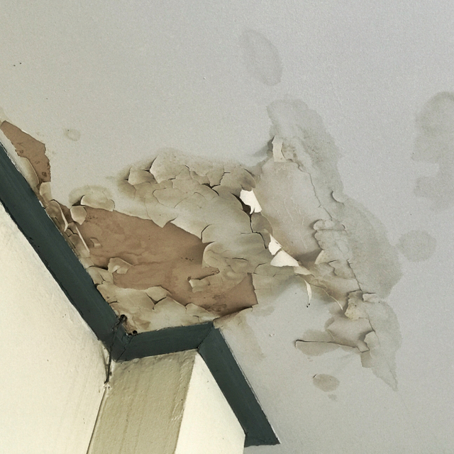 Granule Loss in Shingles